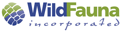 WildFauna